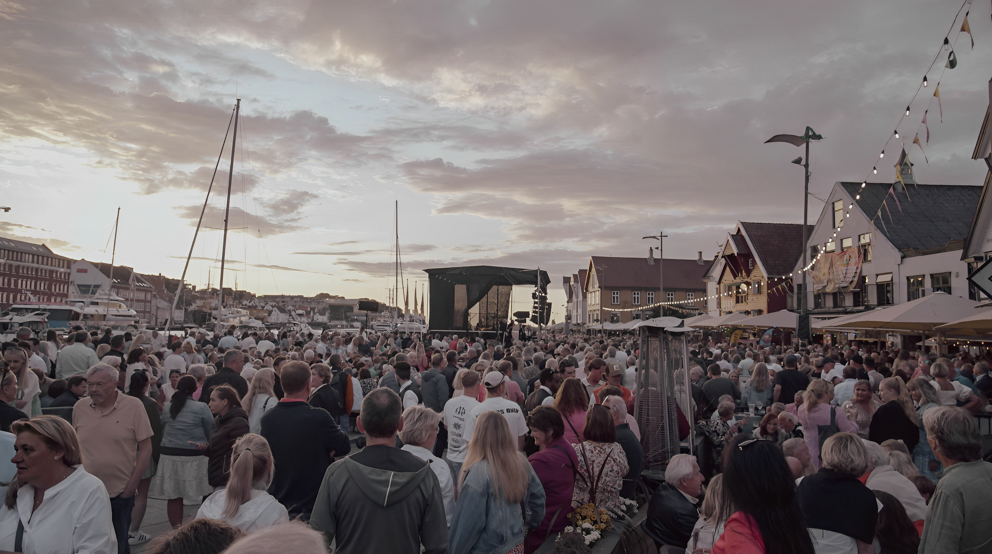 Fjåge i Vågen, 2023 (Foto: Svein Erik Fylkesnes)