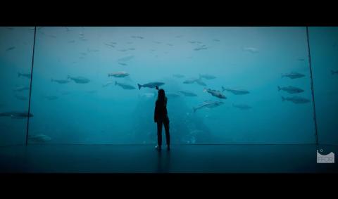 FFOR - fiskerifagene | Fabel Media